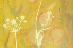 254-Button-Snakeroot-2-512x1024
