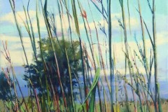 Prairie-Colors-510x1024