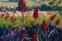 Sumac-in-Shadow-3-770x1024