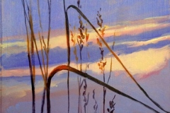 Prairie-Cadence-2
